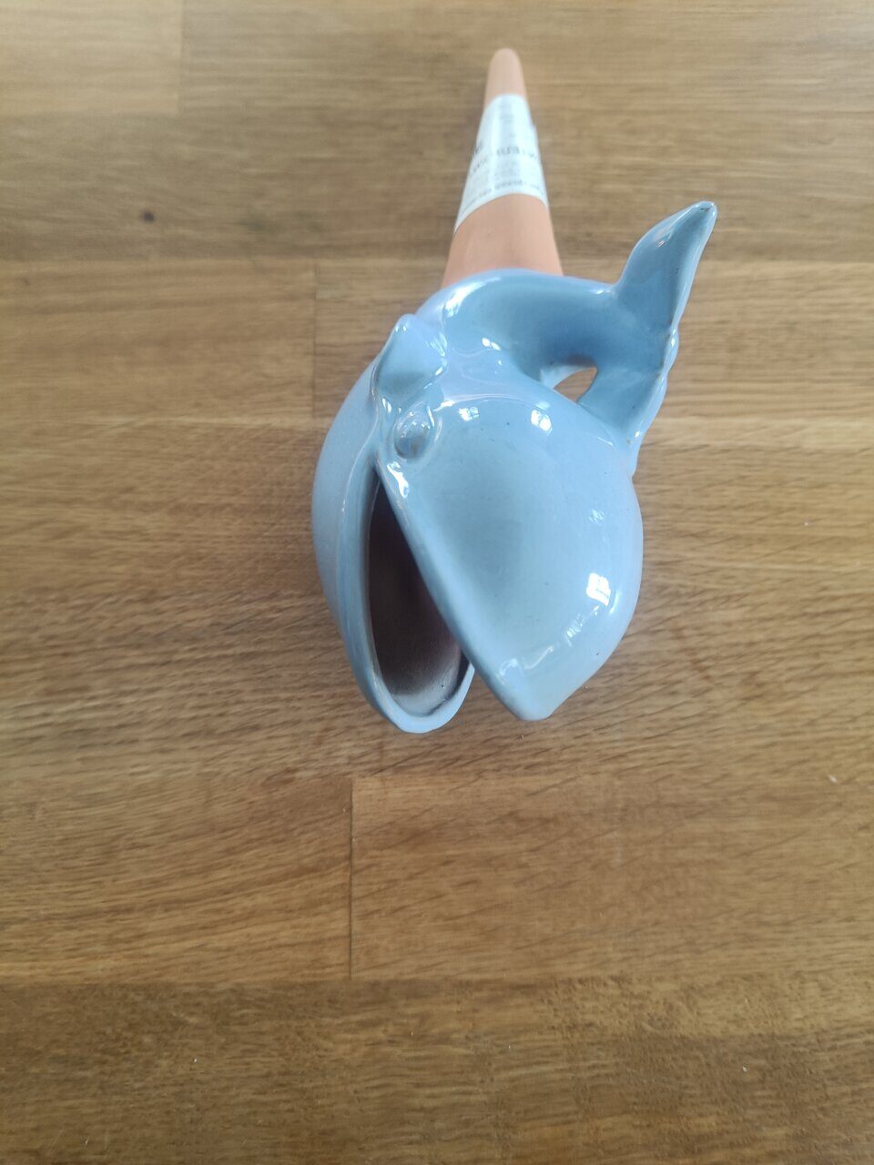 IMG20240228165004