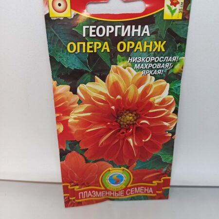 Семена Георгина Опера Оранж   4789612